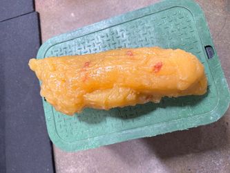Large Body Fat Anatomical Replica / Teaching Model – $60
