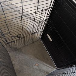 XL Precision Dog Kennel