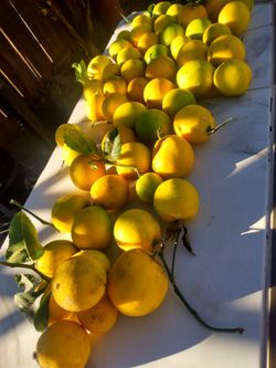 Organic lemon