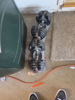 Bowflex dumbells