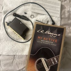 LR BAGGS M1 Active Pickup