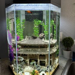 Fish Tank 