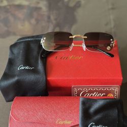 Cartier. Rimless Sunglasses !