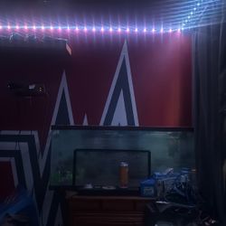 55 gallon fish tank asking 40 dollars 