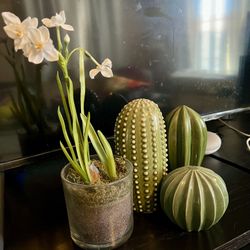 Home decor