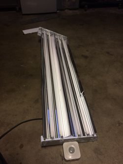 Light fixture