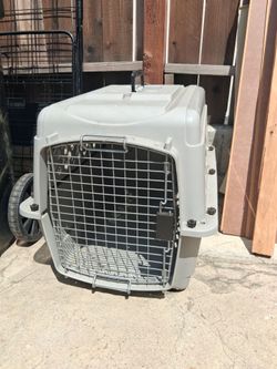 Large Hard-Shell Pet Travel Crate