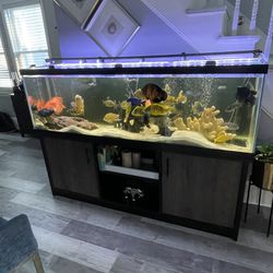 125 gallons fish tank with everything.