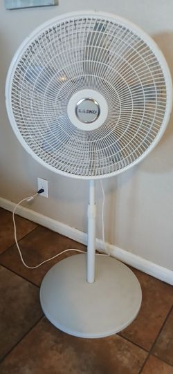 Large fan