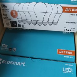 LED Lightbulbs