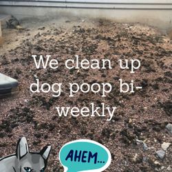 Pooper Scooper Service 