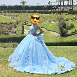 Quince Dress/ Quinceañera Dress/ Sweet 16 Dress