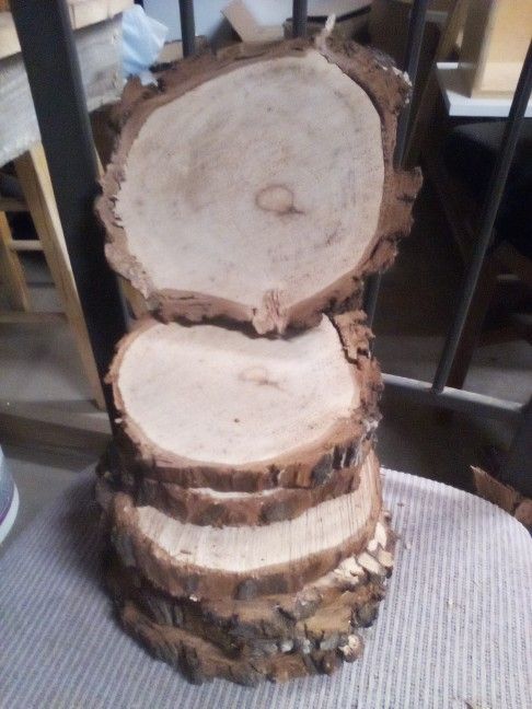 Pecan Wood Discs