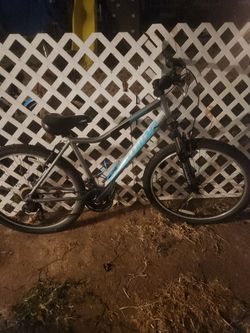 Schwinn Standpoint