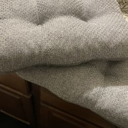 Two Chair Cushions 
