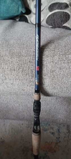 Phenix M1 inshore rod