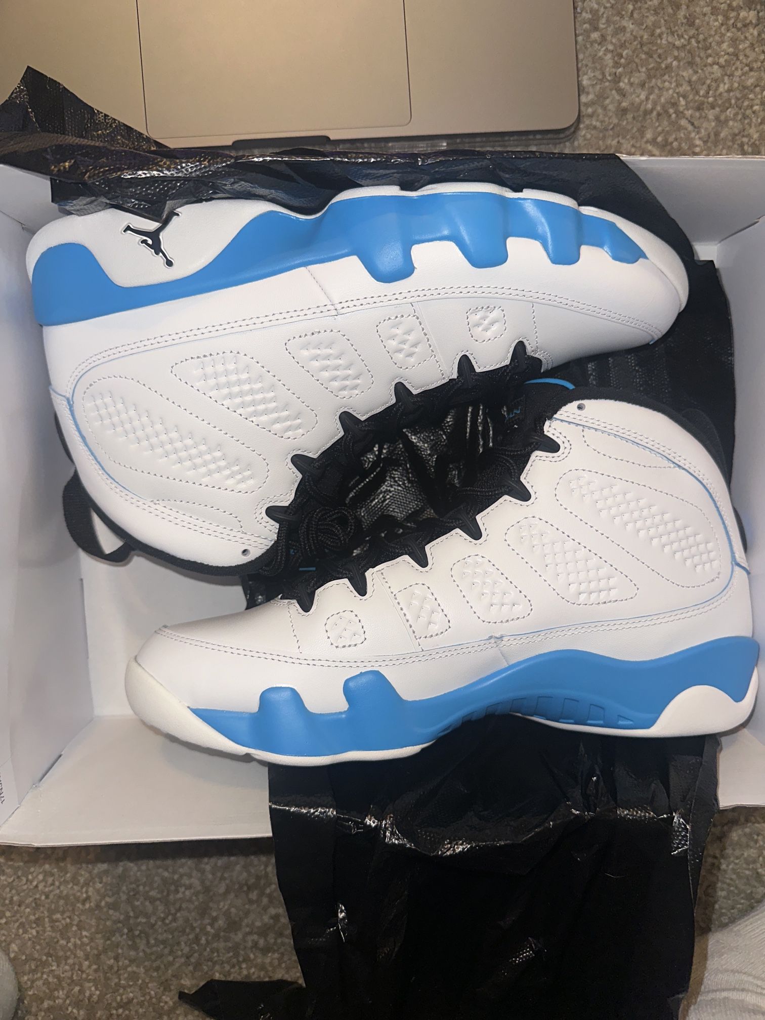 Jordan 9 Powder Blue
