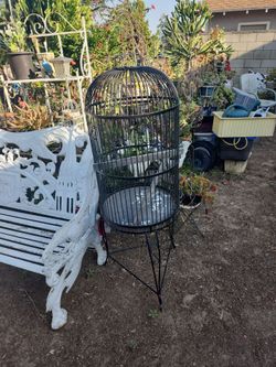 Lovely bird cage