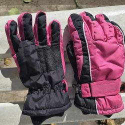 Gloves, Medium