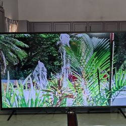 Vizio 50"