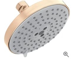 Handgrohe Rain Dance S Shower Head