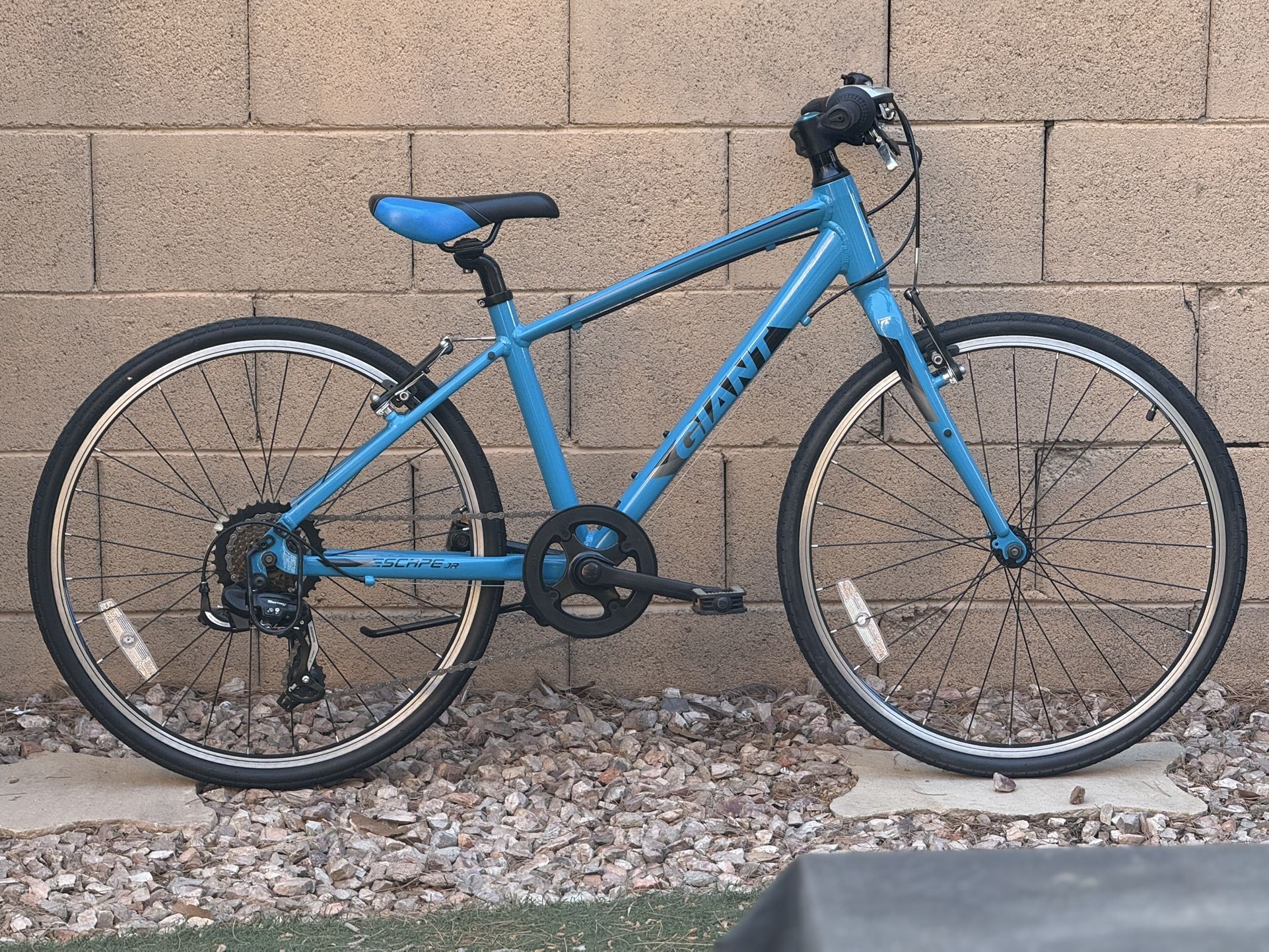 Like New Giant Escape Jr 24 Inch Bike Bicycle. for Sale in Mesa 