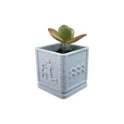 Horoscope Succulent Planters