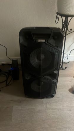 Party speaker