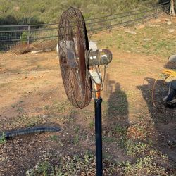 built Hard, 5 Foot Tall Fan