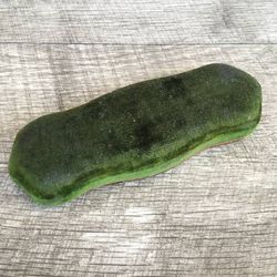 Antique Green Velvet Columbia Grafonola Phonograph Pad Cleaner