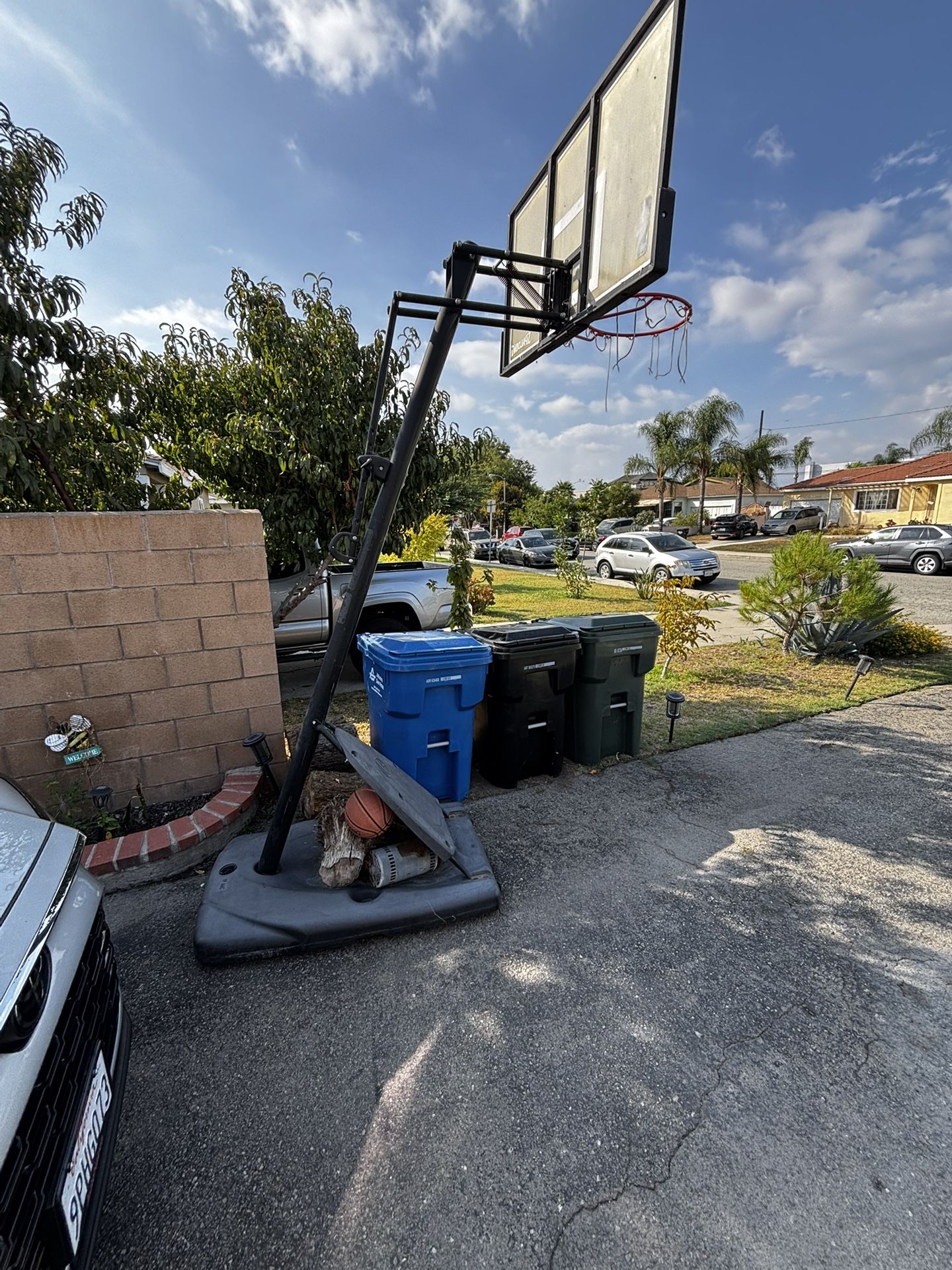 Free Basketball Court