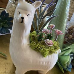 Succulent Art