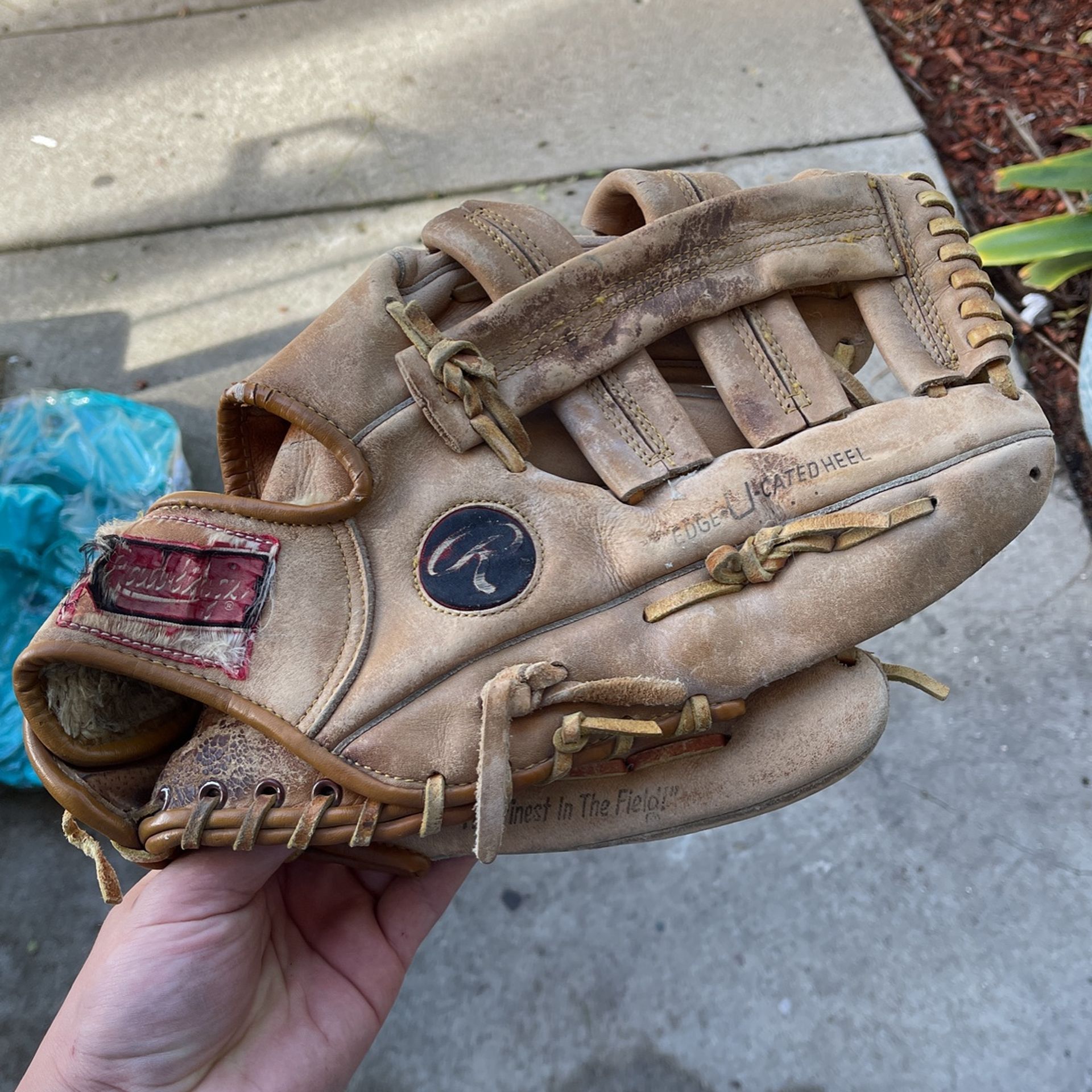 Softball Glove