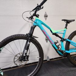 Specialized Stumpjumper Expert 29/6Fattie, Carbon Fiber - $3,500