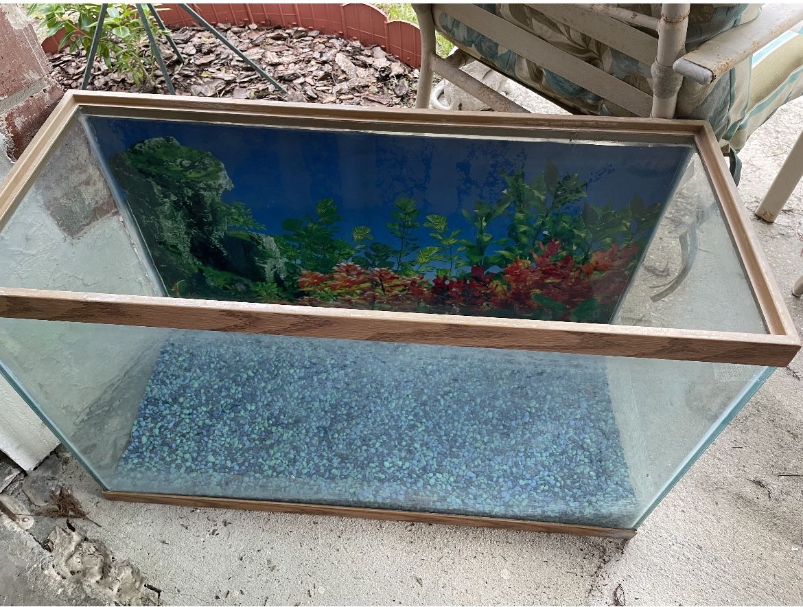 29 Gallon Fish Tank