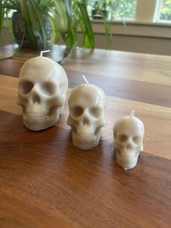 Skull Candles-Unscented 