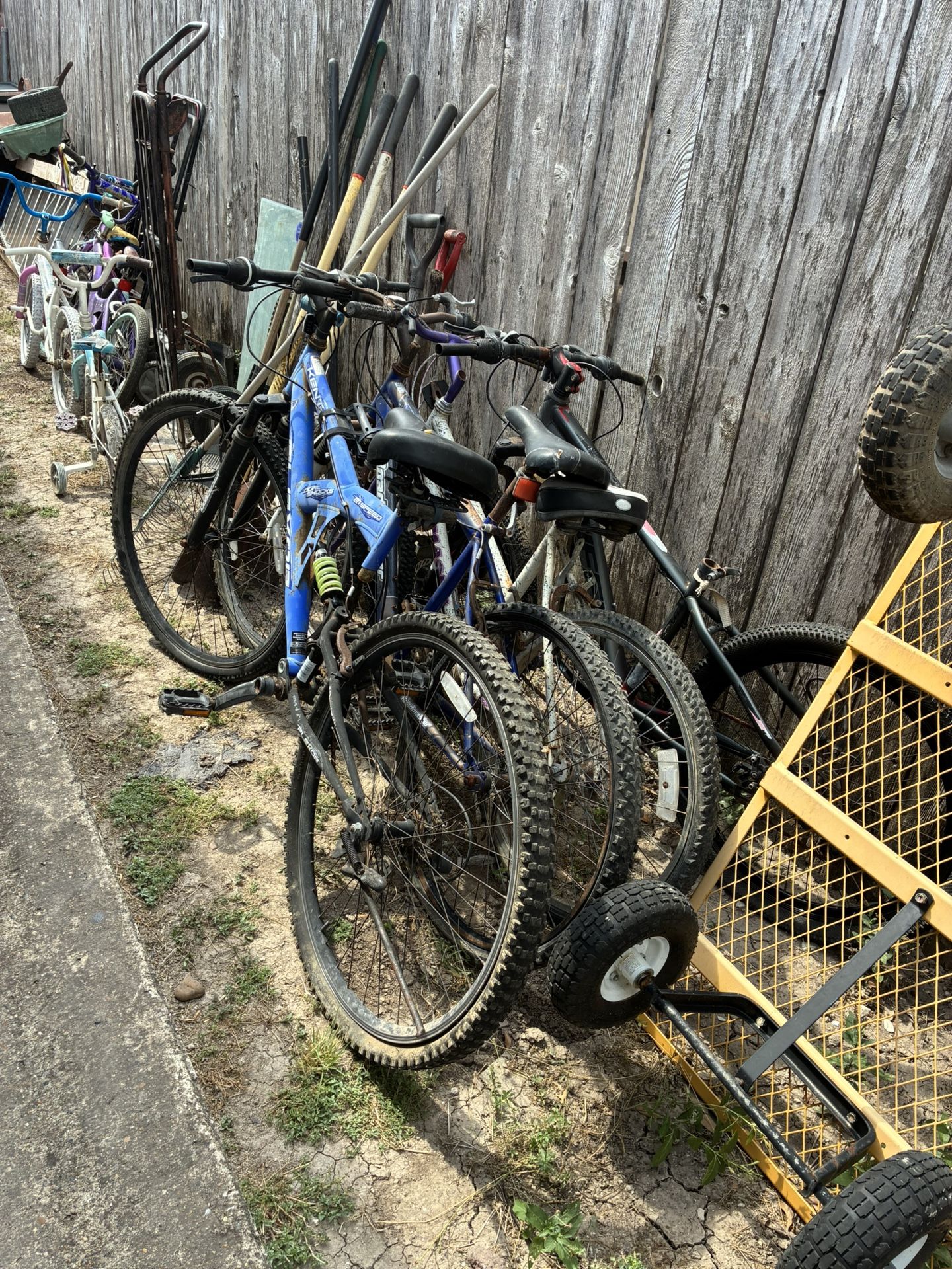 All This Bikes And Frames $50 For All