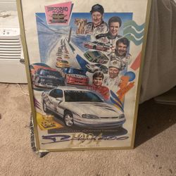 Nascar pitcher 450 best Price I Have A lot More 