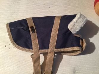 Dickens Small Dog coat