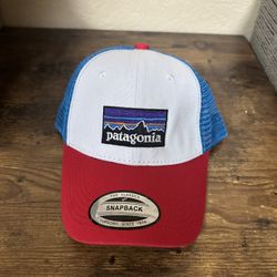 Patagonia hat