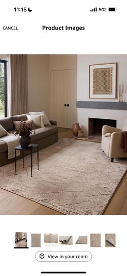 Beautiful Beige Accent Rug