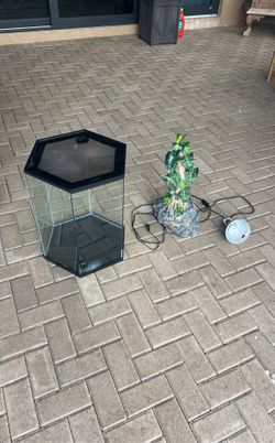 Reptile , Glass Enclosure, Water Tree Dripped, Heat Lamp