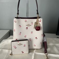 Coach Small Town Bucket Bag With Heart Floral Print And Matching Wallet 