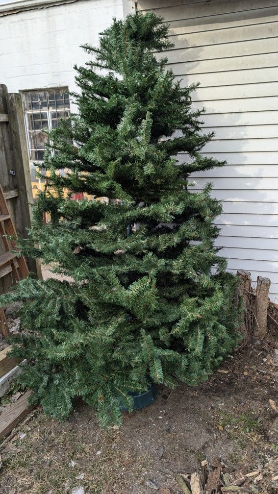 7 Ft. Tall Artificial Christmas Tree With Stand. Just Add Lights And Decorations. 1900 Blk Sylvania