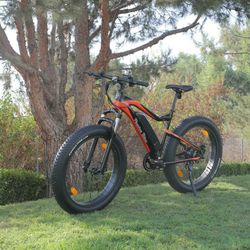 Electric Mountain Bike 