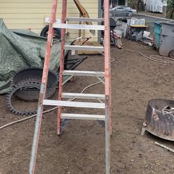 Tall Ladder