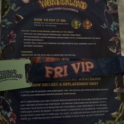 Beyond Friday VIP Ticket