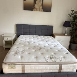 Queen Bed and Mattress