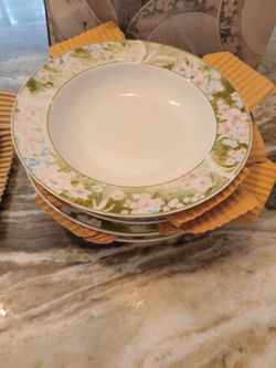 Plates set- 12 new plates