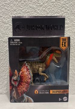 Hammond collections